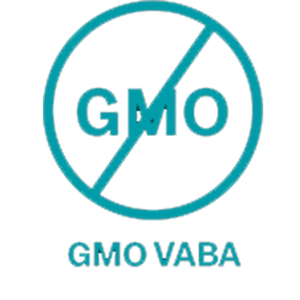 GMO Vaba toidulisand ikoon